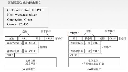 計算機網絡開發與服務的心臟 應用層深度解析