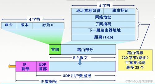 網絡層在計算機網絡開發與服務中的關鍵作用