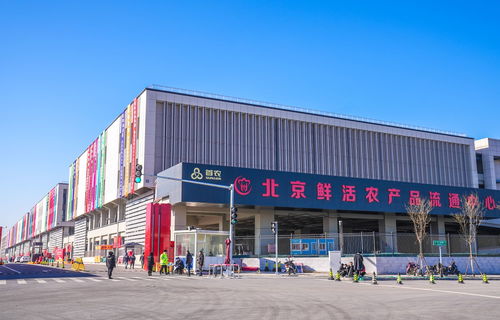 山東蘭陵蔬菜將規?；M京