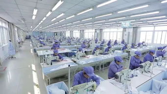 北京服裝產業大轉移 1200多家服裝廠涌入滄州瘋狂 搶地